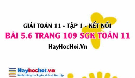 Giải bài 5.6 trang 109 Toán 11 tập 1 SGK Kết nối tri thức